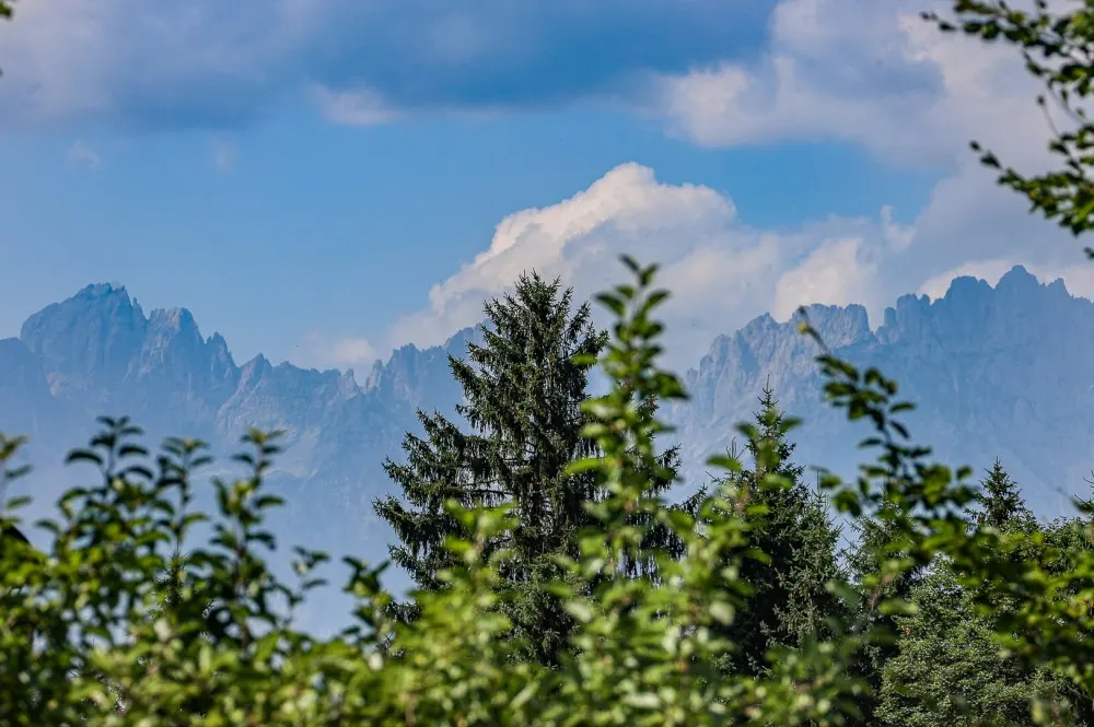 KITZIMMO-Baugrundstück mit Altbestand auf der Bichlalm kaufen - Immobilien Kitzbühel.-1-3