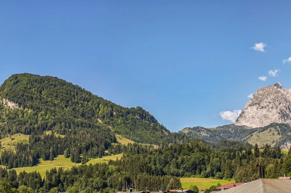 KITZIMMO-Luxus Terrassenwohnung in exklusivem Neubau - Immobilien Kirchdorf kaufen.