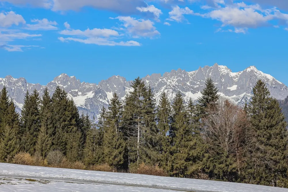 KITZIMMO-Landhausvilla in traumhafter Ruhe- und Aussichtslage - Immobilien Aurach.