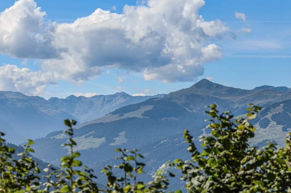 KITZIMMO-Berghütte in Alleinlage in den Kitzbüheler Alpen kaufen.