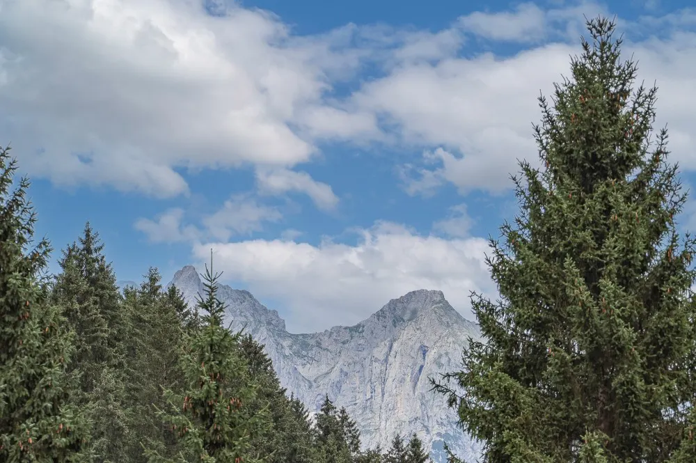 KITZIMMO-Mehrfamilienhaus mit Freizeitwohnsitz kaufen.-2-8