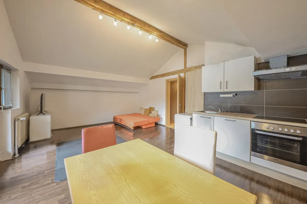 KITZIMMO-Mehrfamilienhaus mit Freizeitwohnsitz kaufen.-2-1