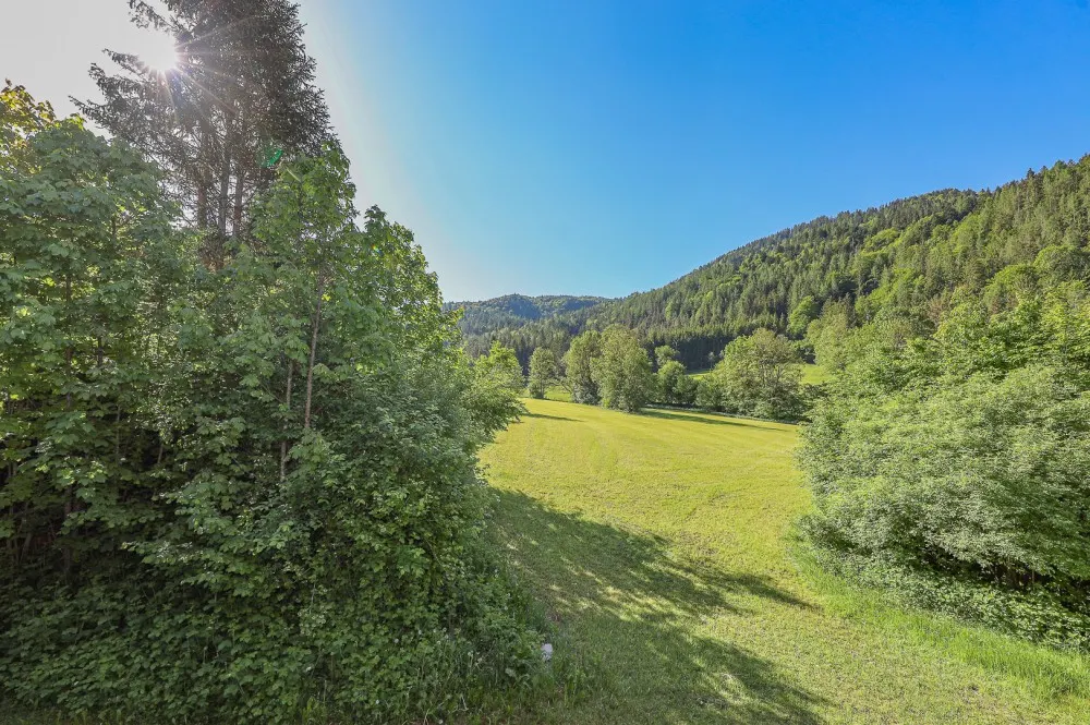 KITZIMMO-Historisches Bauernhaus in traumhafter Lage kaufen - Immobilien Erpfendorf.
