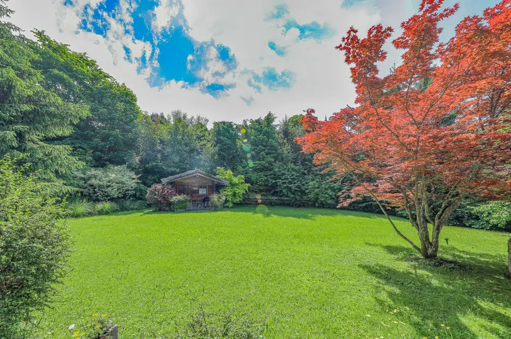 KITZIMMO-Baugrundstück mit Altbestand in Toplage auf der Bichlalm - Immobilien Kitzbühel.-6