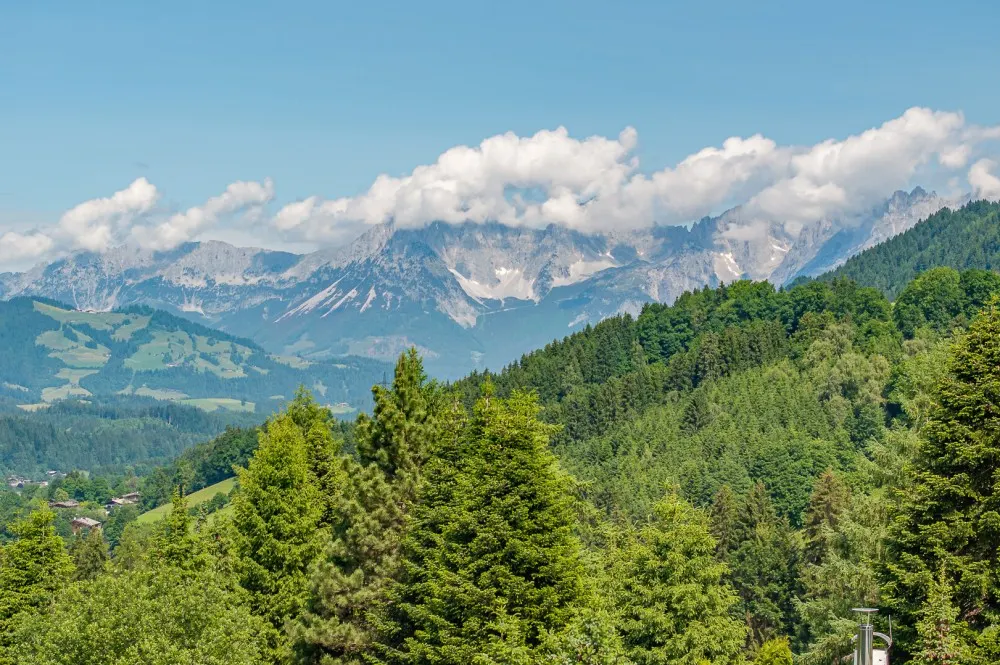 KITZIMMO-Baugrundstück mit Altbestand in Toplage auf der Bichlalm - Immobilien Kitzbühel.-23