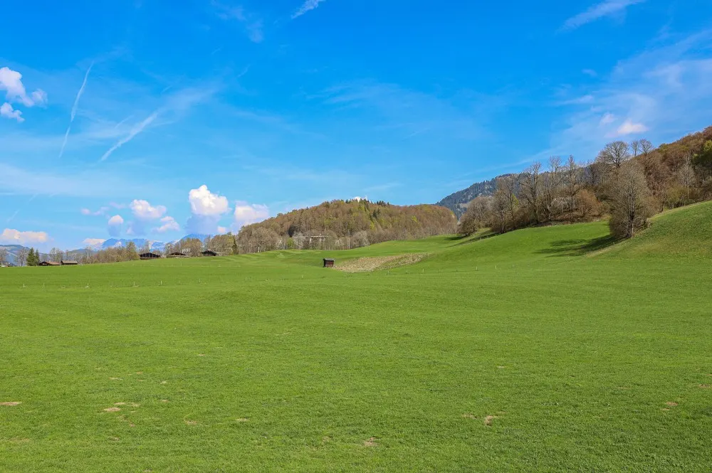 KITZIMMO-Altbestand in Toplage kaufen Kitzbühel Aurach-17