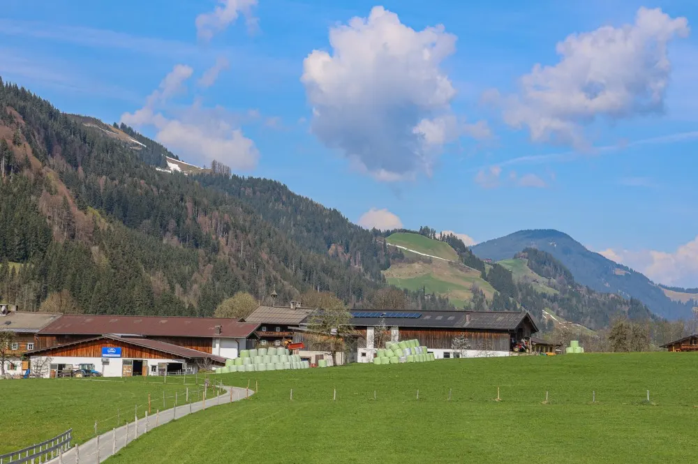 KITZIMMO-Altbestand in Toplage kaufen Kitzbühel Aurach-19