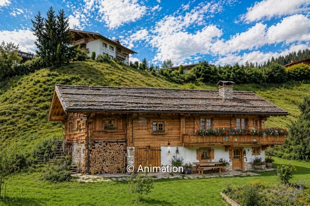 KITZIMMMO - Bauernhaus mit Freizeitwohnsitz kaufen in Fieberbrunn -10-16