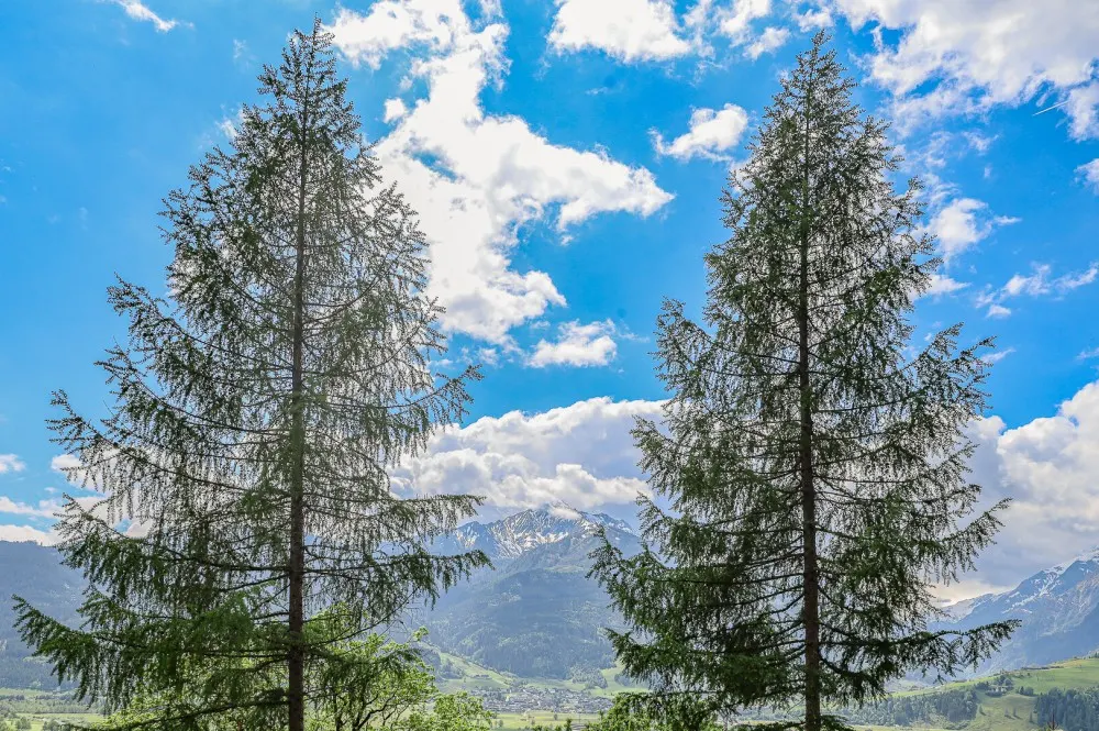 KITZIMMO-Landhaus mit Panoramablick und 1.883 m² Grundstück kaufen - Immobilien Zell am See.-39