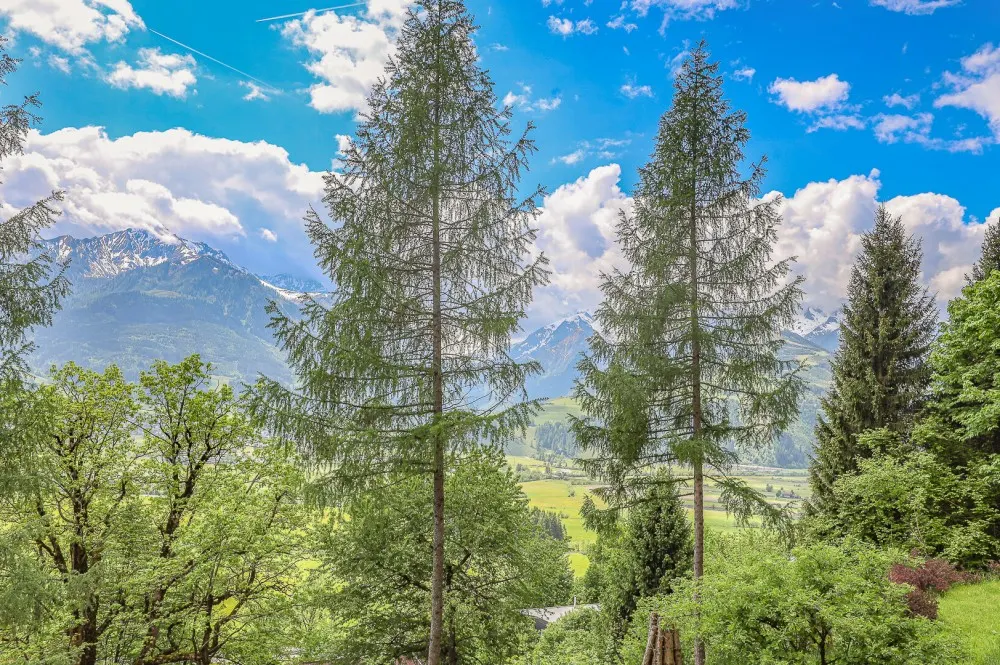 KITZIMMO-Landhaus mit Panoramablick und 1.883 m² Grundstück kaufen - Immobilien Zell am See.-40