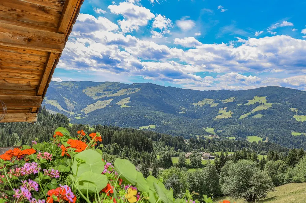 KITZIMMO-Penthouse mit Freizeitwohnsitz in einem Bauernhaus in Alleinlage - Immobilien Westendorf.