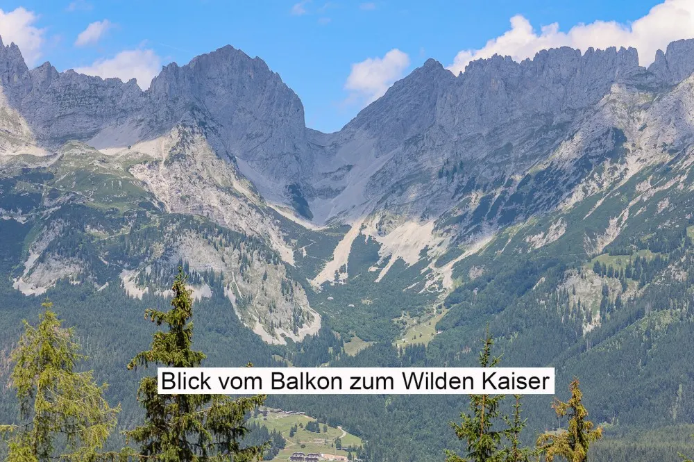 KITZIMMO-Freizeitwohnsitz mit unverbautem Kaiserblick - Ski in / Ski out - Immobilien Ellmau.-49