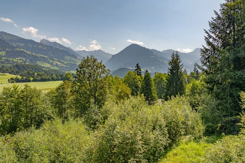 KITZIMMO-Grundstück für Einheimische in sonniger Ruhelage kaufen - Immobilien Kitzbühel.-6