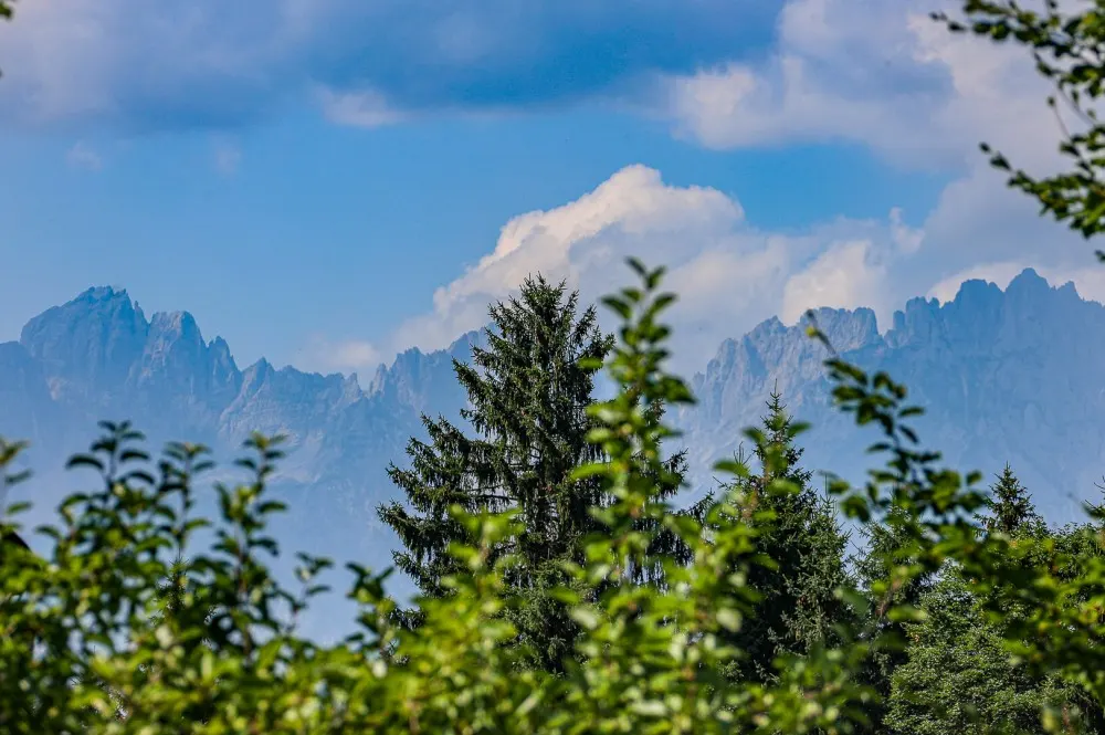 KITZIMMO-Baugrundstück mit Altbestand auf der Bichlalm kaufen - Immobilien Kitzbühel.-1-4-9