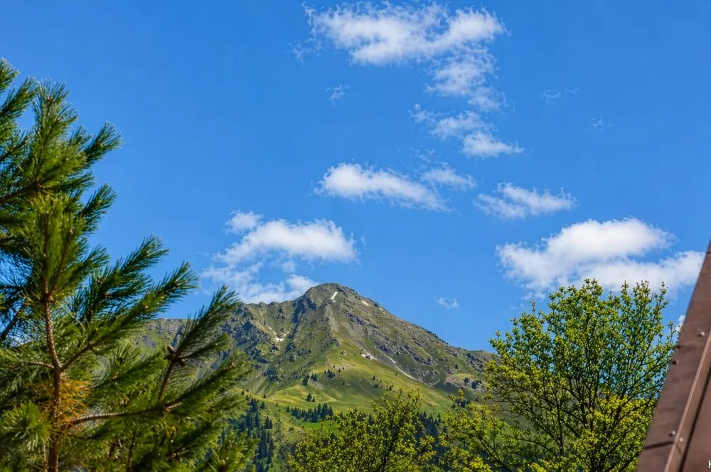 KITZIMMO-Dachgeschosswohnung mit traumhaftem Ausblick - Immobilien Kitzbühel.-12