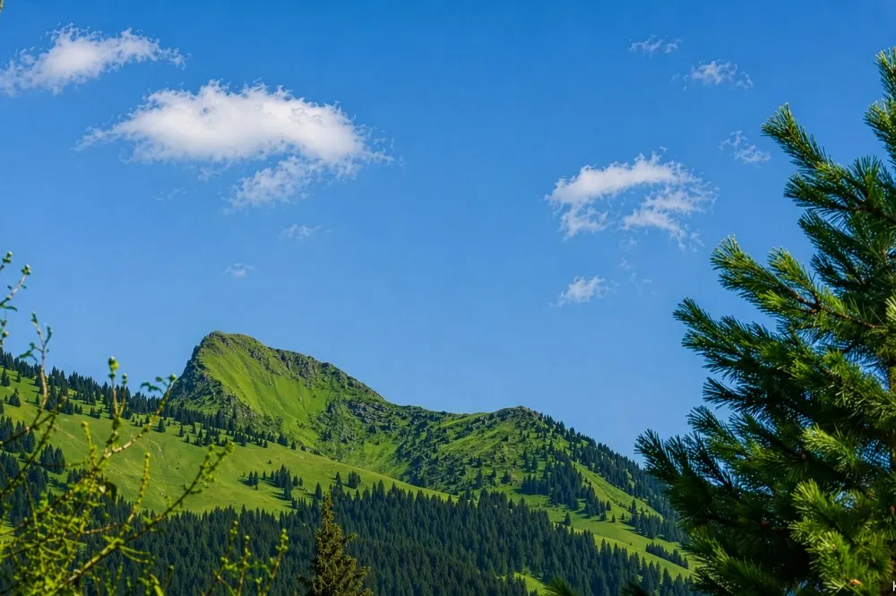 KITZIMMO-Dachgeschosswohnung mit traumhaftem Ausblick - Immobilien Kitzbühel.-11