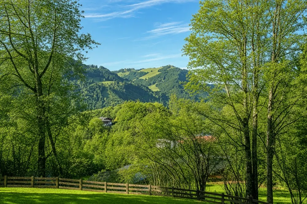 KITZIMMO-Exklusives Apartment mit Freizeitwohnsitz - Immobilien Kitzbühel.