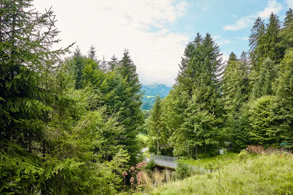 KITZIMMO-Luxusvilla mit Freizeitwohnsitz in Toplage kaufen - Immobilien Fieberbrunn. -12