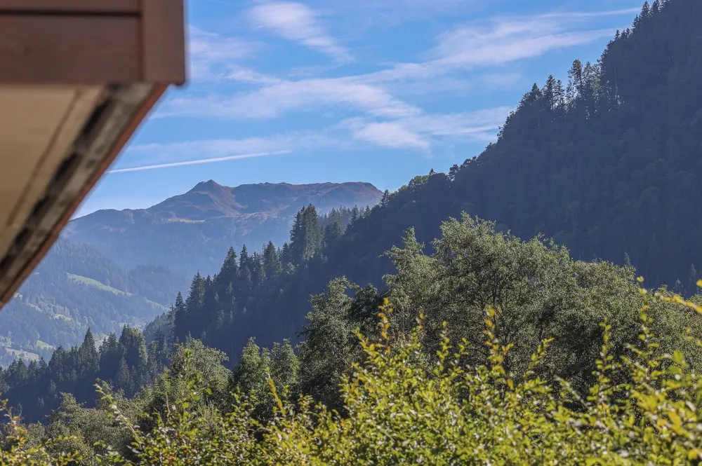 KITZIMMO-Hochwertige Mietwohnung mit Kaiserblick - Immobilien Kitzbühel.