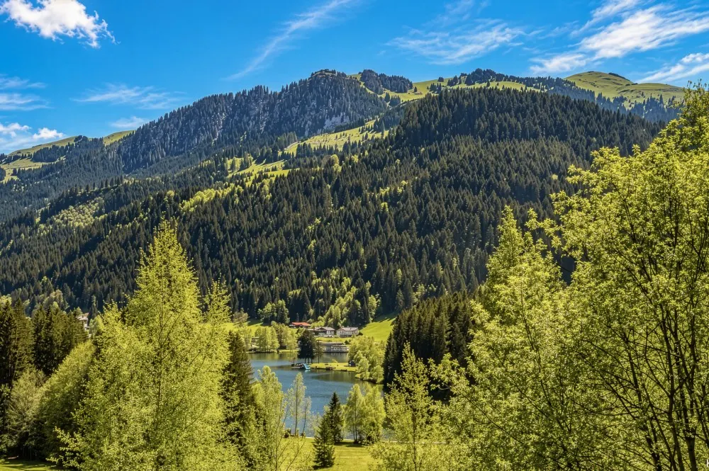 einzigartigevillainkitzbühelkaufekamschwarzseeintoplagekitzimmo-1-14