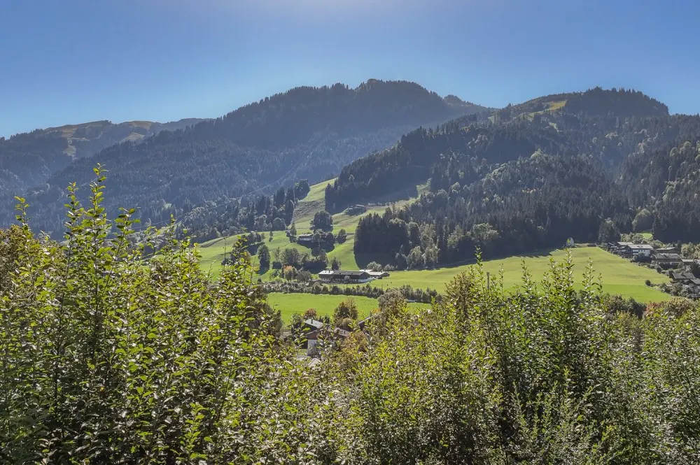 KITZIMMO-Einzigartige Liegenschaft mit Freizeitwohnsitz am Lebenberg - Immobilien Kitzbühel.-3-16