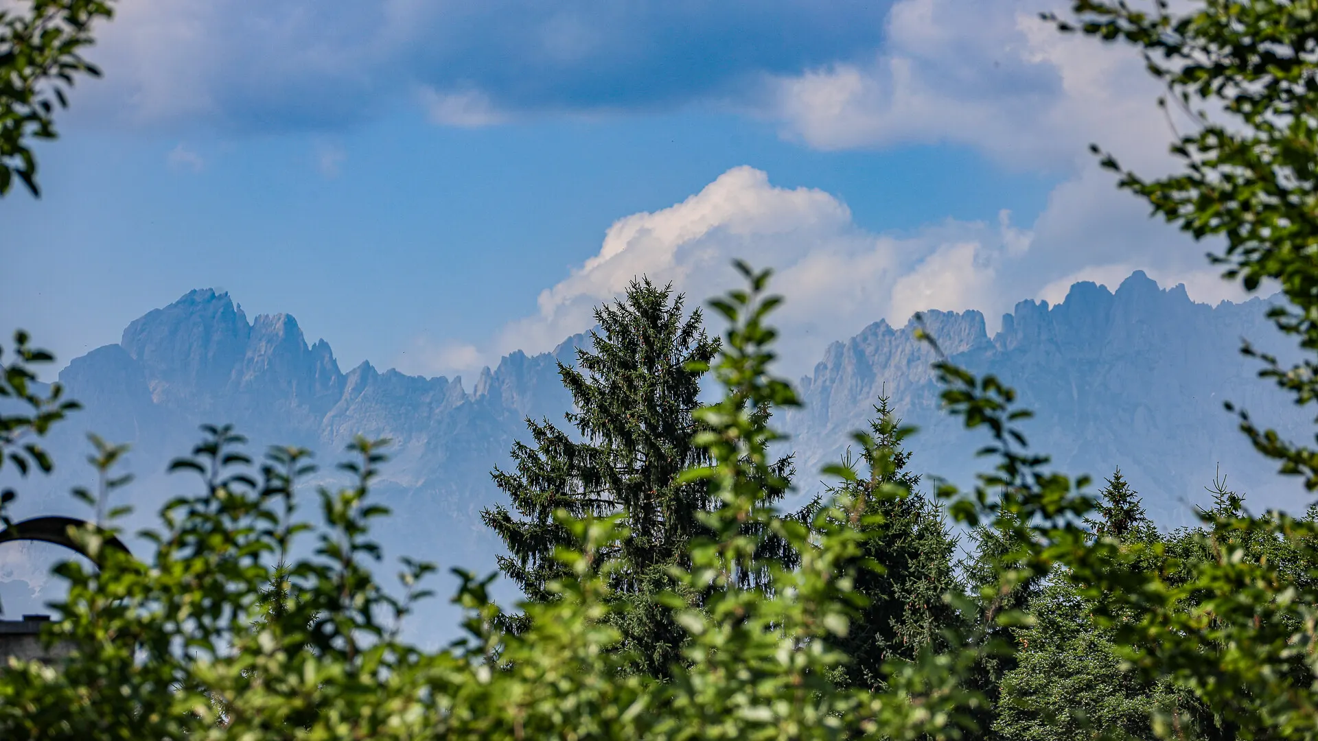 KITZIMMO-Baugrundstück mit Altbestand auf der Bichlalm kaufen - Immobilien Kitzbühel.