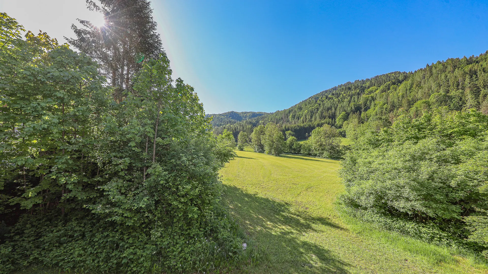 KITZIMMO-Historisches Bauernhaus in traumhafter Lage kaufen - Immobilien Erpfendorf.