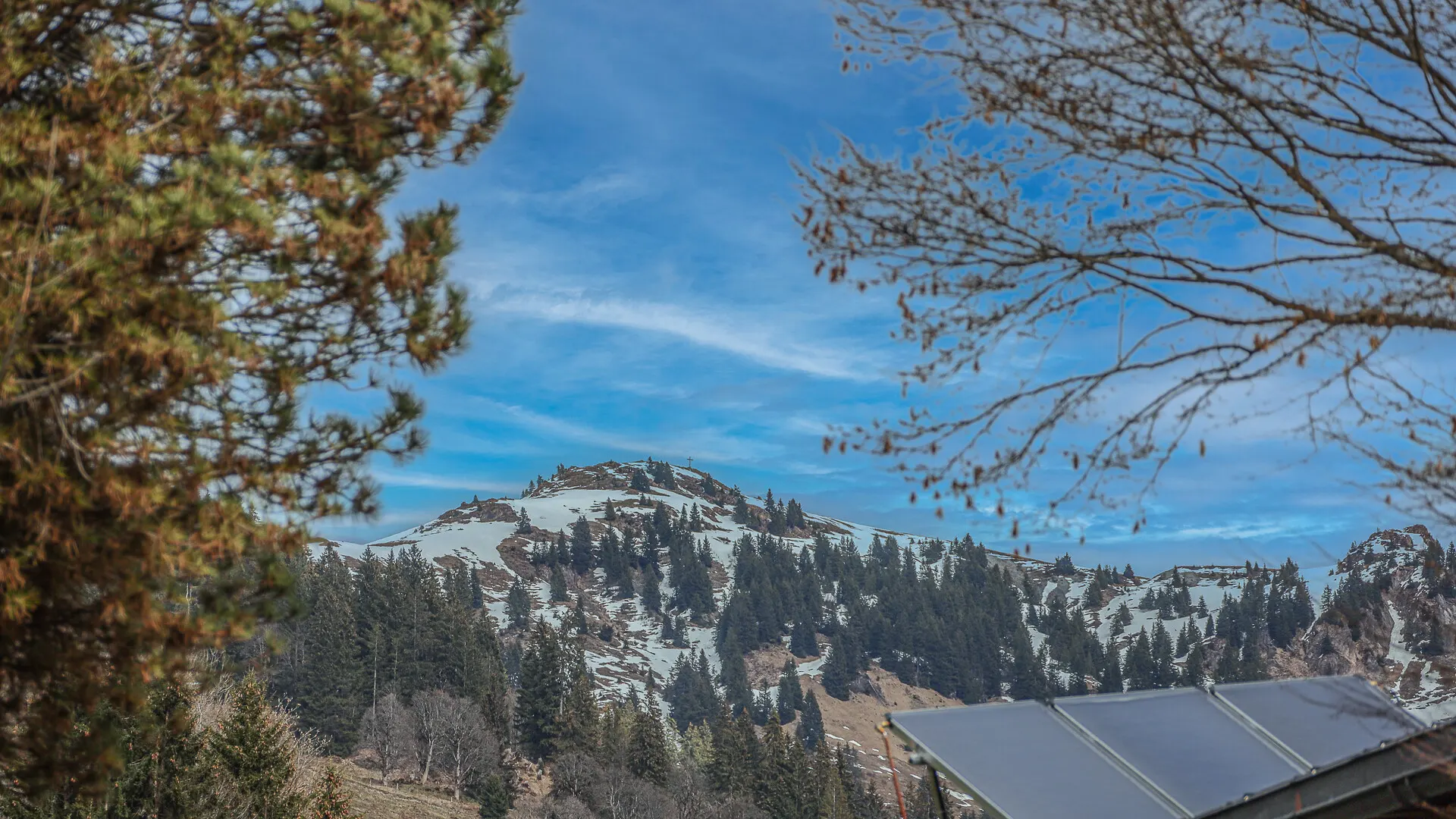 KITZIMMO-Wohnung in Toplage Bichlalm - Immobilien kaufen Kitzbühel.