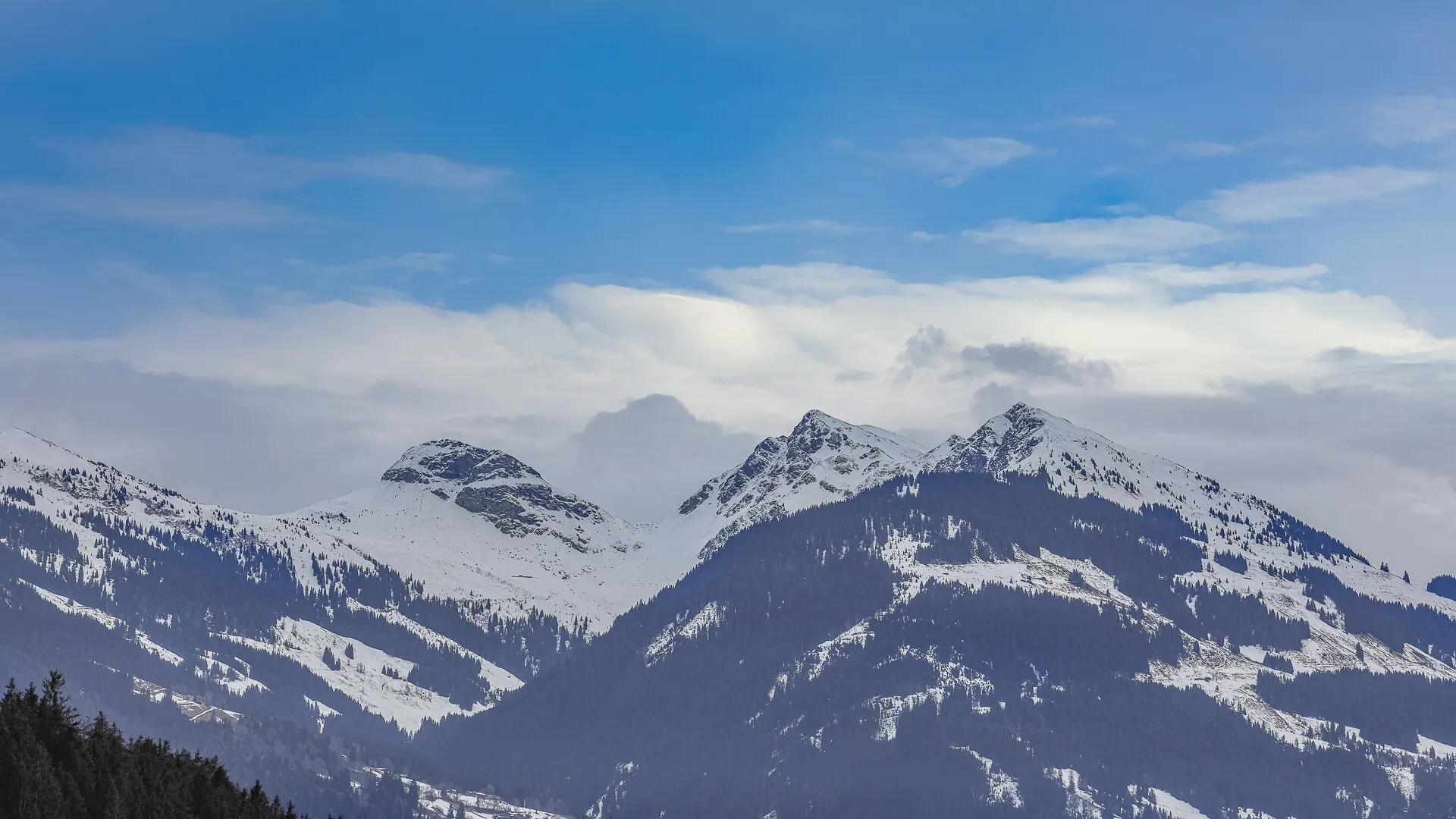 KITZIMMO-Luxus-Penthouse mit Steif-Blick in sonniger Ruhelage - Immobilien Kitzbühel.