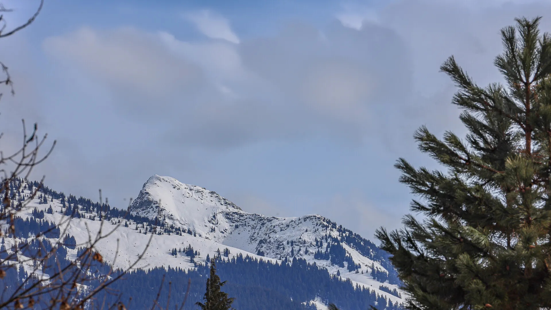 KITZIMMO-Dachgeschosswohnung mit traumhaftem Ausblick - Immobilien Kitzbühel.