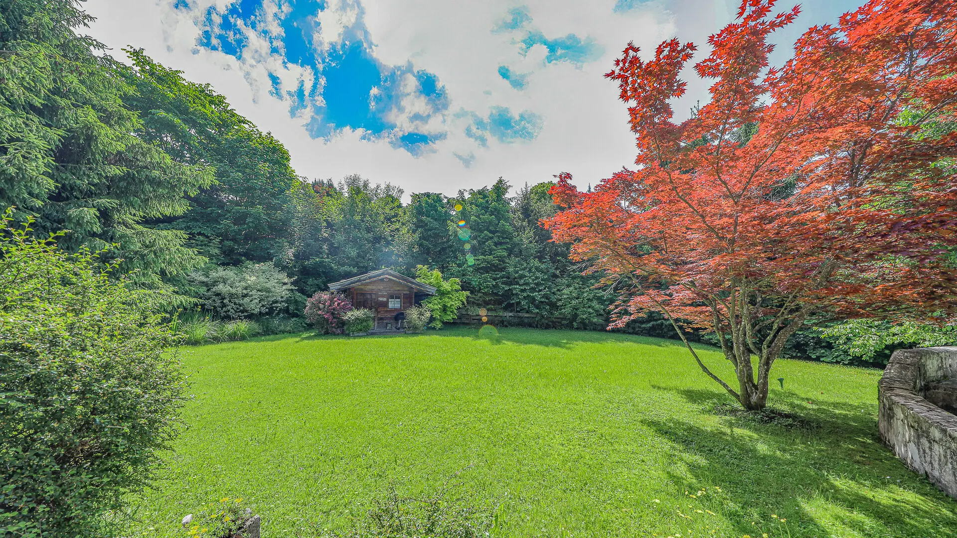 KITZIMMO-Baugrundstück mit Altbestand in Toplage auf der Bichlalm - Immobilien Kitzbühel.-6