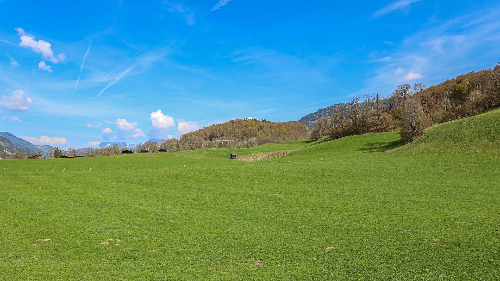 KITZIMMO-Altbestand in Toplage kaufen Kitzbühel Aurach-17