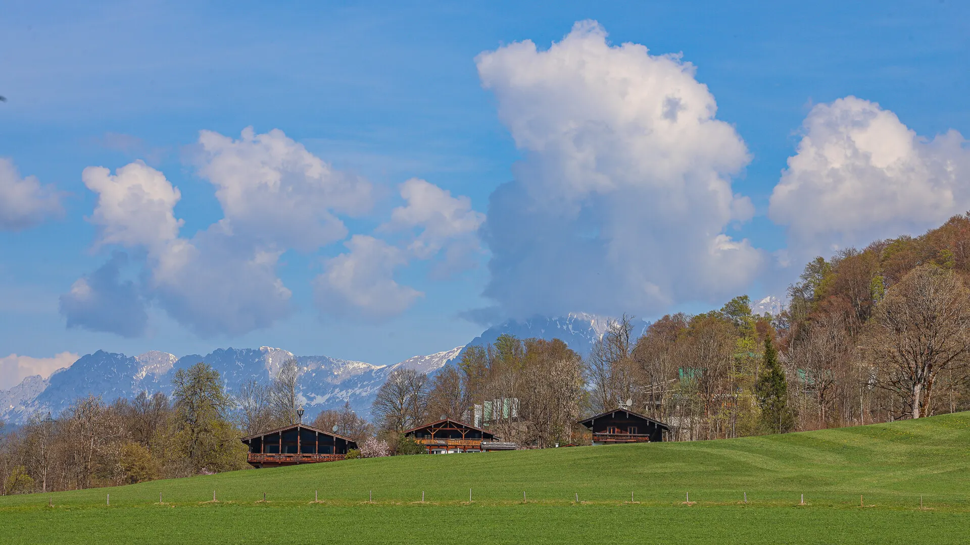 KITZIMMO-Altbestand in Toplage kaufen Kitzbühel Aurach-18