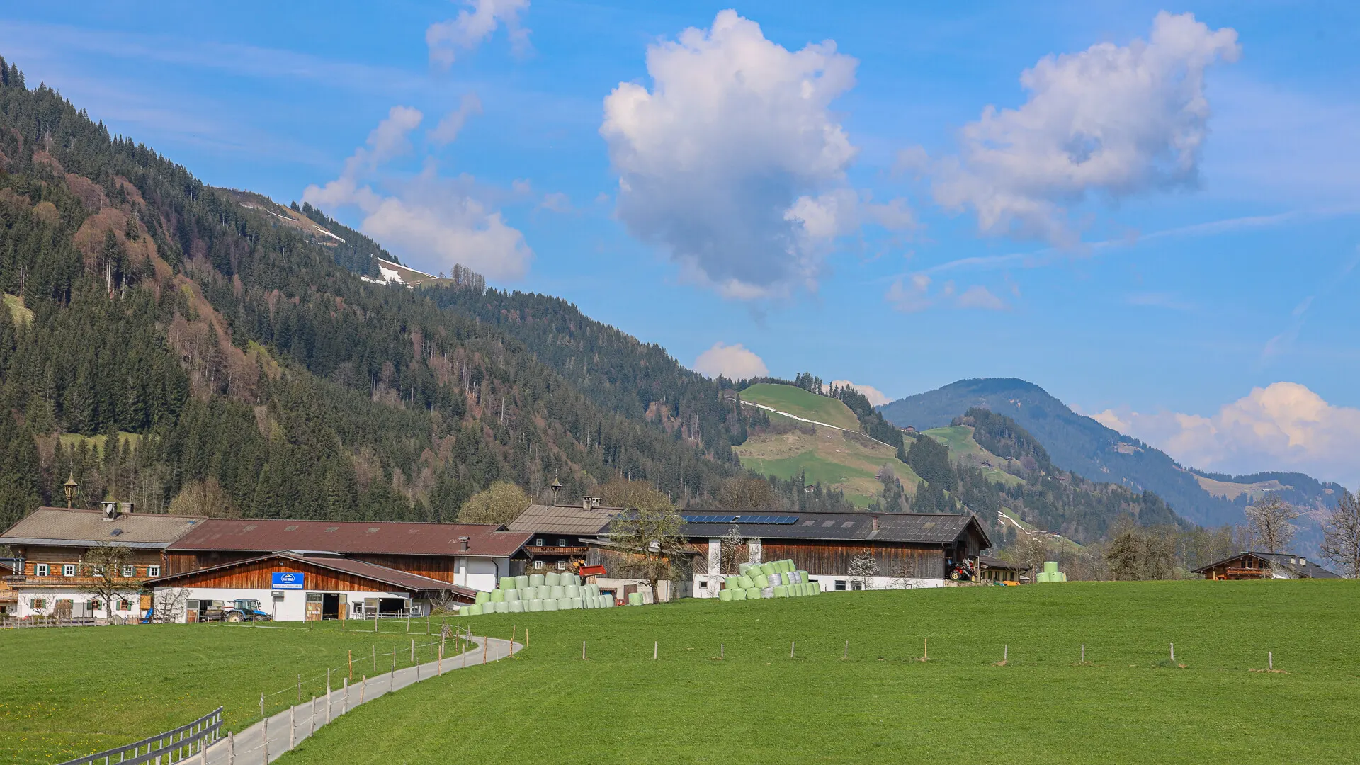 KITZIMMO-Altbestand in Toplage kaufen Kitzbühel Aurach-19