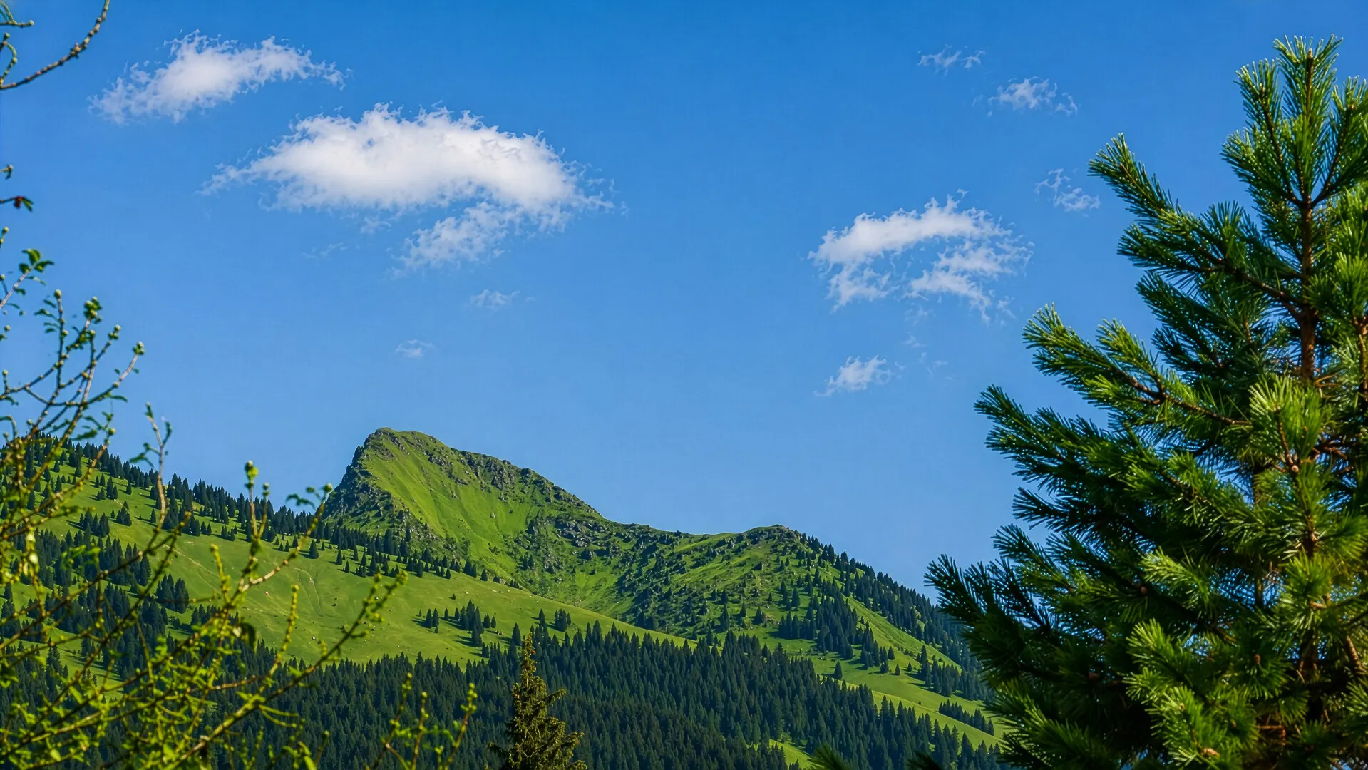 KITZIMMO-Dachgeschosswohnung mit traumhaftem Ausblick - Immobilien Kitzbühel.-3