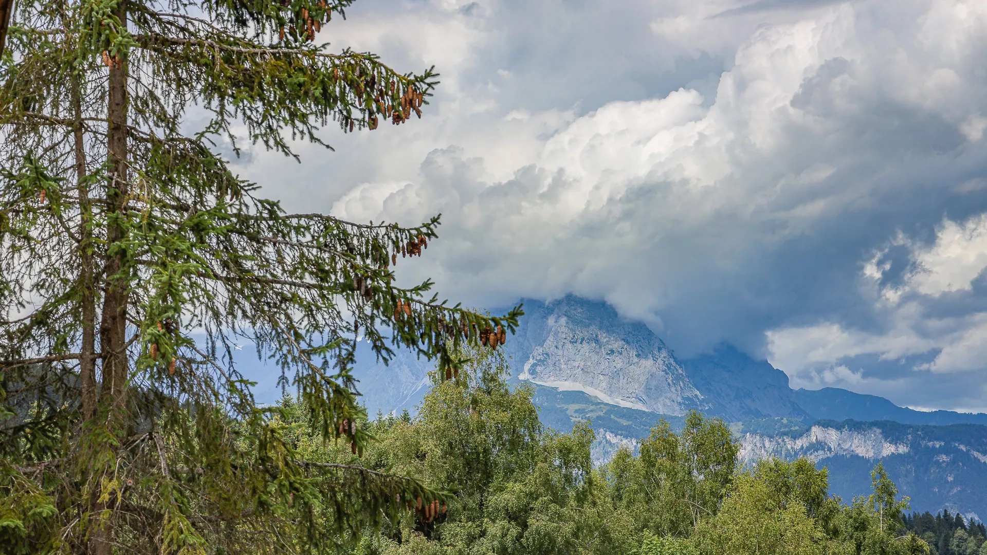 KITZIMMO-Freizeitwohnsitz in Ruhelage mit traumhaftem Ausblick kaufen - Immobilien Fieberbrunn.