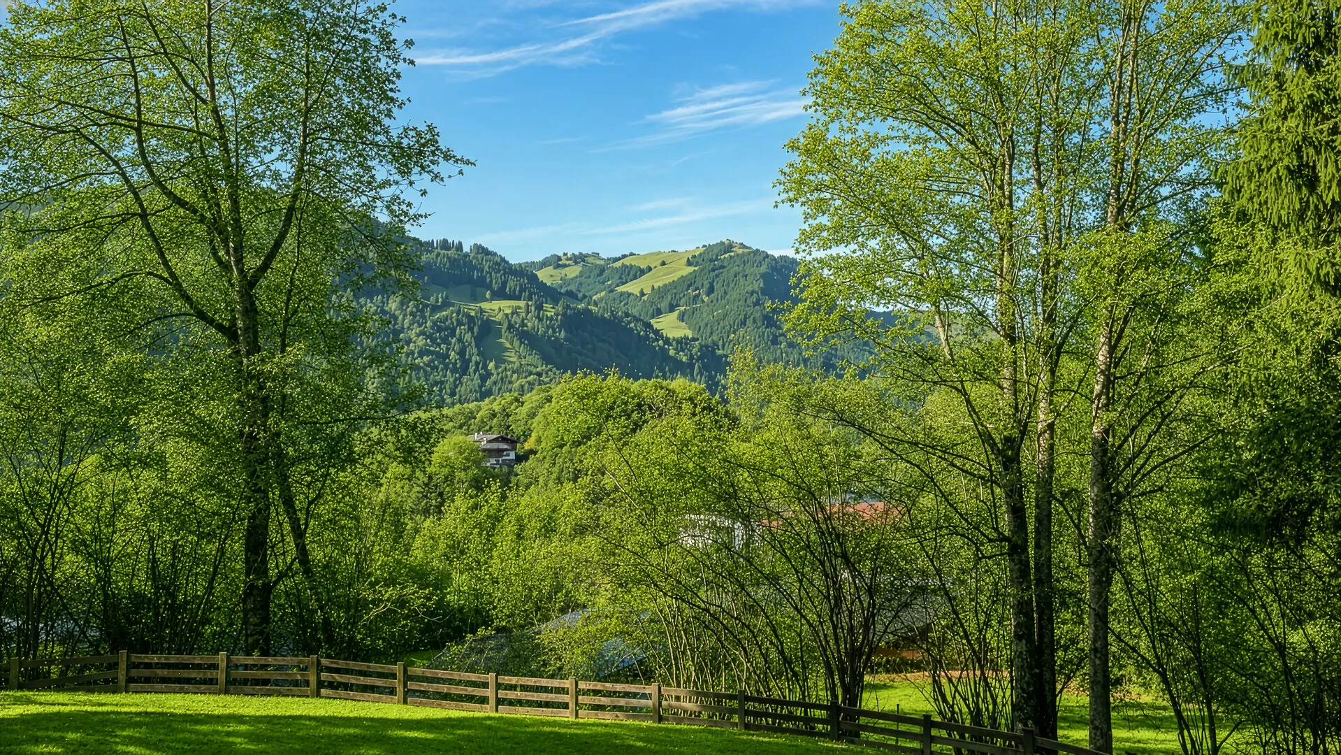 KITZIMMO-Exklusives Apartment mit Freizeitwohnsitz - Immobilien Kitzbühel.