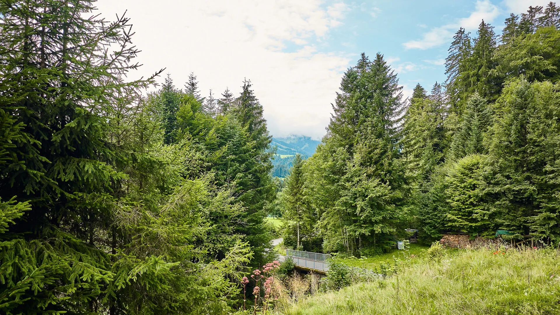 KITZIMMO-Luxusvilla mit Freizeitwohnsitz in Toplage kaufen - Immobilien Fieberbrunn. -12