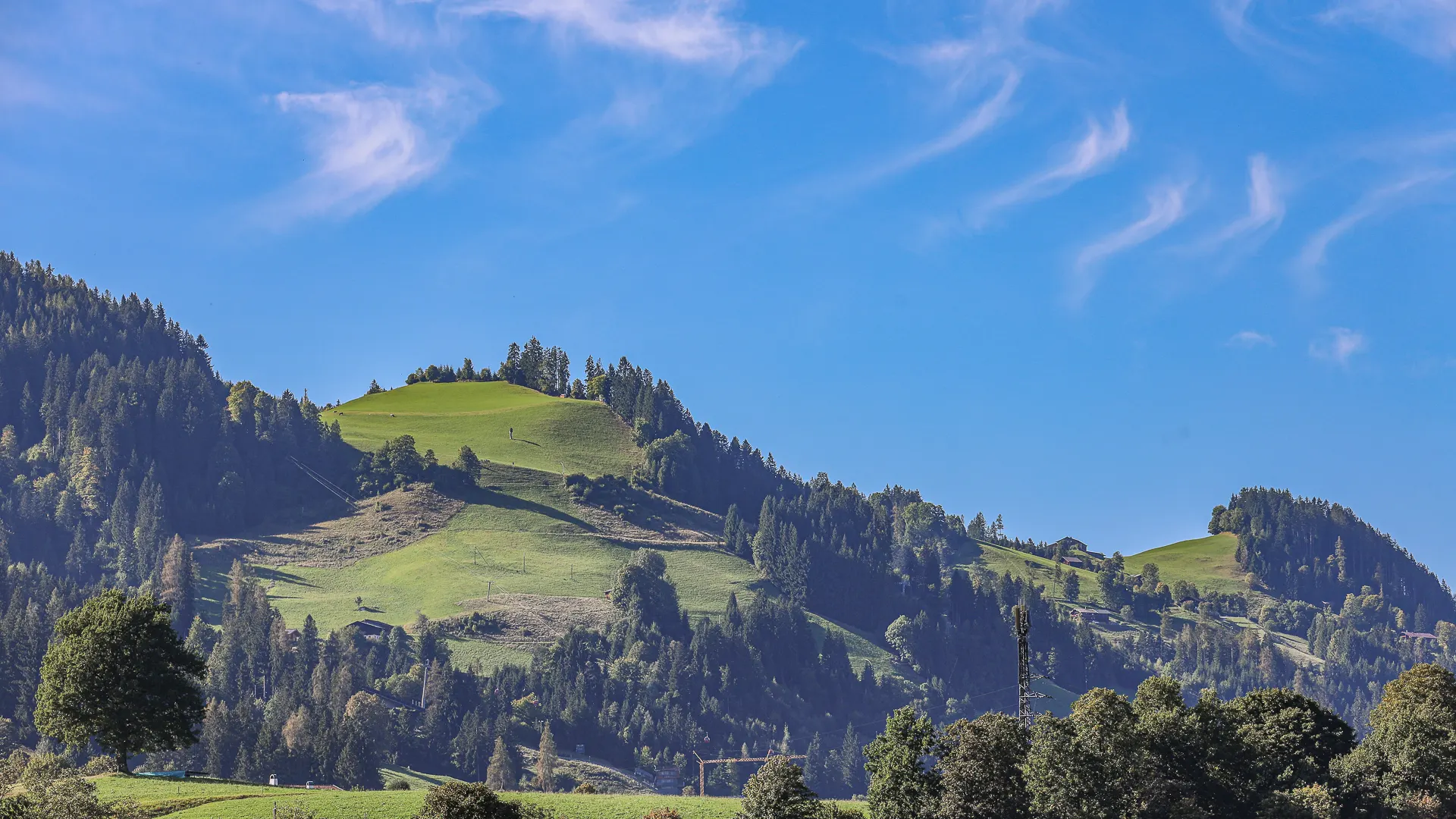 KITZIMMO-Hochwertige Mietwohnung mit Kaiserblick - Immobilien Kitzbühel.