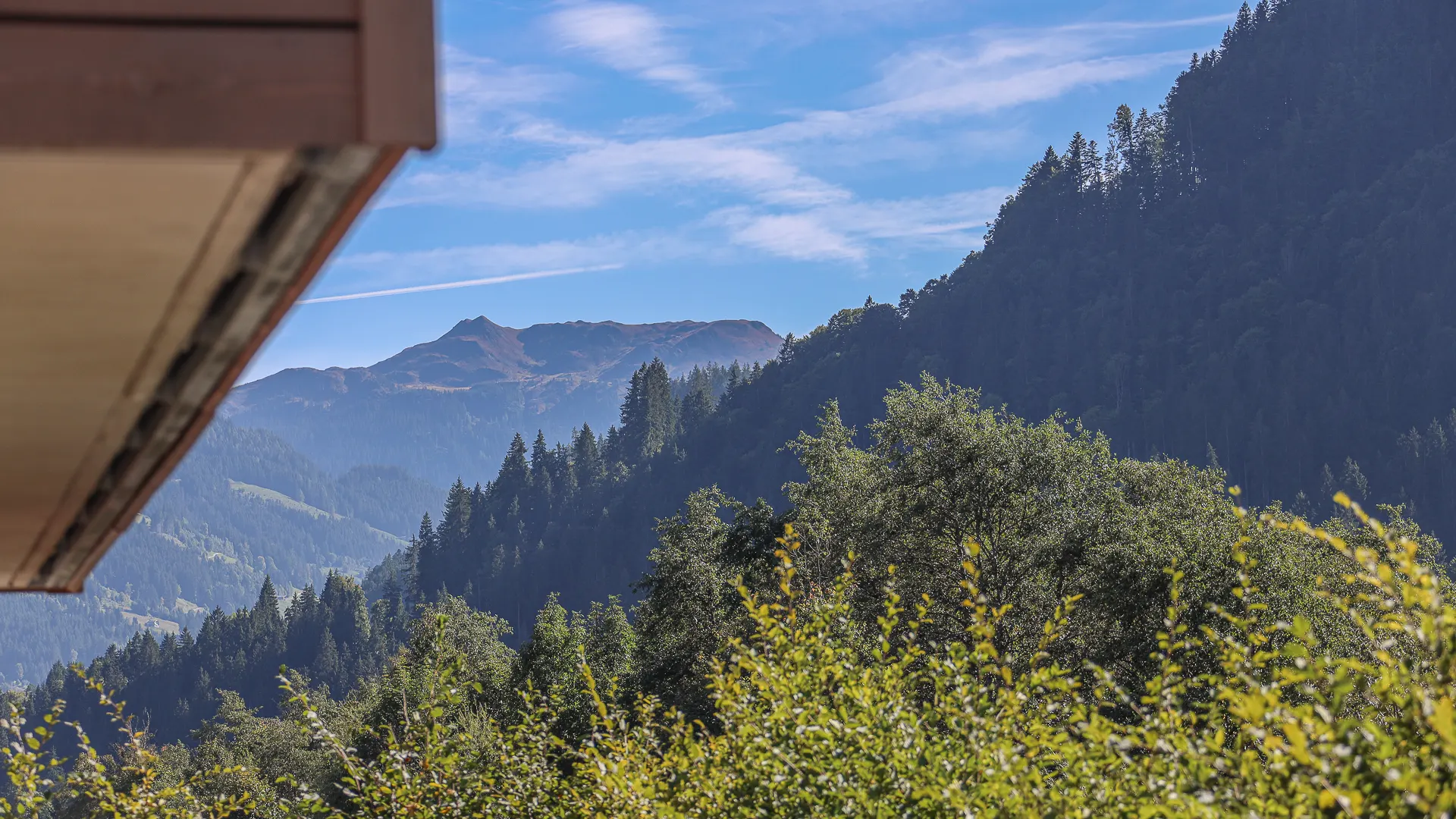 KITZIMMO-Hochwertige Mietwohnung mit Kaiserblick - Immobilien Kitzbühel.