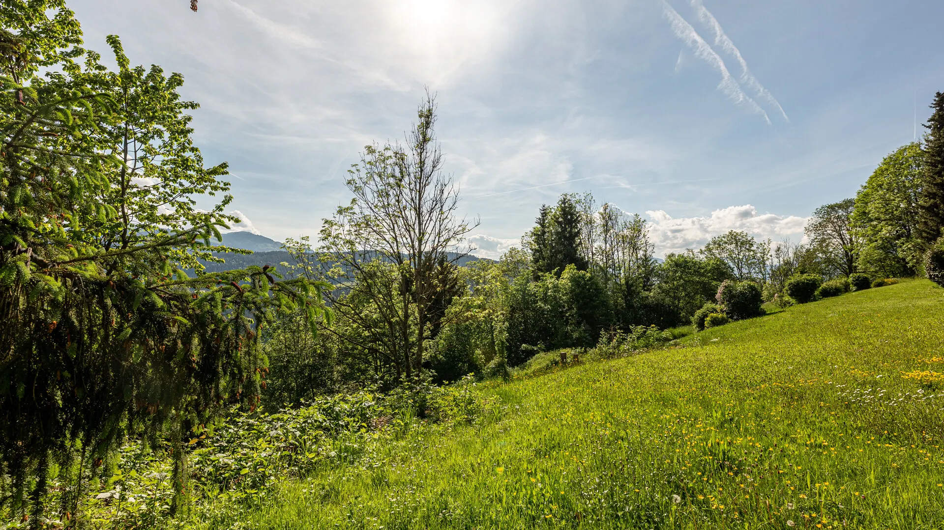 KITZIMMO-Grundstück mit Baugenehmigung für 2 Luxuschalets - Immobilien Itter kaufen.